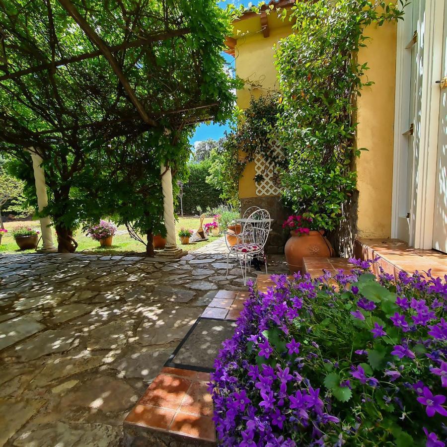 Casa Prana *